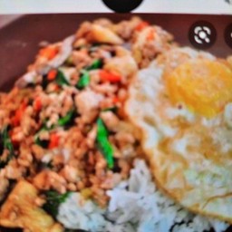 กระเพราไก่ราดข้าว