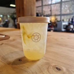HONEY YUZU SODA