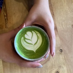 MATCHA LATTE (HOT)
