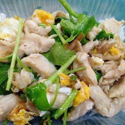 ผัดขึ้นฉ่ายราดข้าว