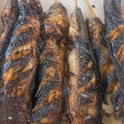 ปลาดุกย่าง