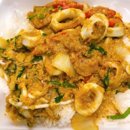 ผัดผงกระหรี่ปลาหมึกราดข้าว STIR FRIED Squid WITH YELLOW CURRY+RICE