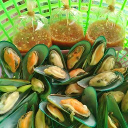 หอยแมลงภู่ หอยสดหอยซิ่ง