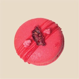 Macarons - Raspberry Wasabi