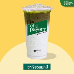 ชาเขียวนมหมี