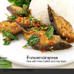 ข้าว - ผัดกระเพราปลาดุกกรอบ(ไข่ข้น)