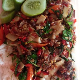 ผัดเผ็ดหนูนาใส่หน่อไม้ดอง