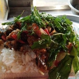 ข้าวกระเพราไข่เยี่ยวม้า