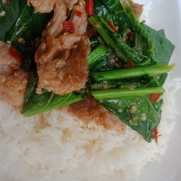 ข้าวราดผัดคะน้า