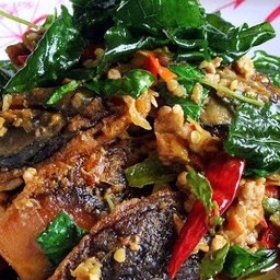 ข้าวราดผัดกระเพราไข่เยี่ยวม้า