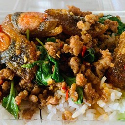 ผัดกะเพราไข่เยี่ยวม้า