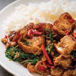 ข้าวราด ผัดกระเพาหมูกรอบ