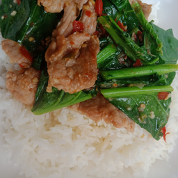 ผัดคะน้า