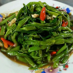 สามกอ ตามสั่ง