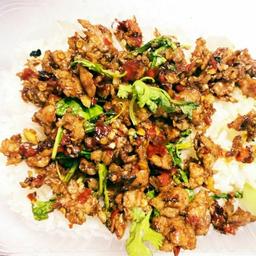 กระเพรา ปลาแกะ ป้าตุ๊ก 1