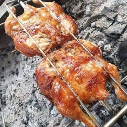 ไก่ย่าง  1  ตัว