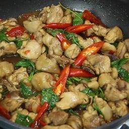 หมู , ไก่ ผัดใบโหระพา