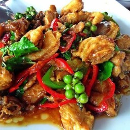 ผัดเผ็ดสมุนไพร(กับข้าว)