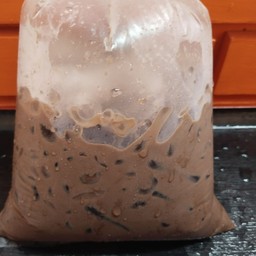 โกโก้.