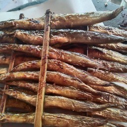 ปลาหลดนาย่างเกลือ