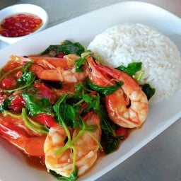 ข้าวราดกระเพรากุ้ง
