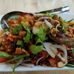 Kanda-กานดา