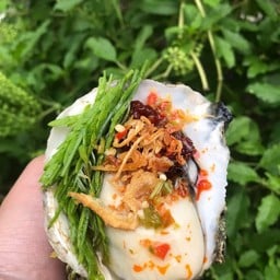 ต้นอ้อหอยสดซีฟู้ด ระยอง