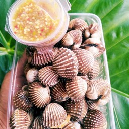 หอยเเครงล๊วก ราคาต่อชุด