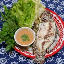 แซ่บอยู่ได๋ By Kulcharin