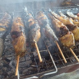 ปลาดุกตัวเล็ก