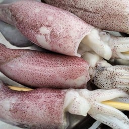 ลูกชิ้น หมึกย่าง