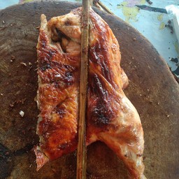ไก่ย่าง  ครึ่ง ตัว