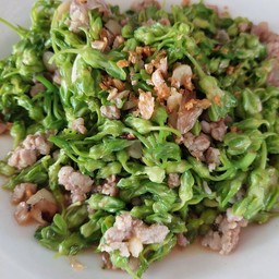 ดอกขจรผัดหมูสับ