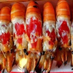 กุ้งหัวมันแก้วเผา 1กิโลกรัม