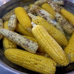 ข้าวโพดต้ม