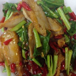 คะน้าไก่แซ่บกรอบ ราดข้าว