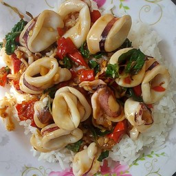 กระเพราปลาหมึกราดข้าว