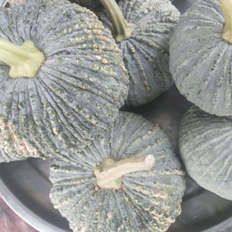 ฟักทองสด