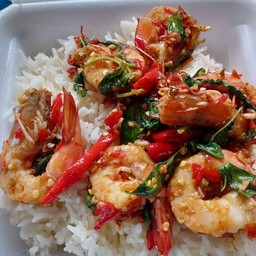 กะเพากุ้งราดข้าว