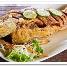 ปลานิลราดน้ำปลา