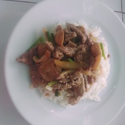 เนื้อน้ำมันหอยราดข้าว