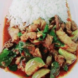 ผัดกะเพรามะเขือเปราะราดข้าว