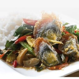 กะเพราไข่เยี่ยวม้า+เลือกเนื้อสัตว์ราดข้าว