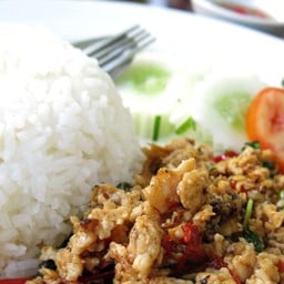 ผัดกะเพราราดข้าว