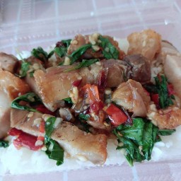 กะเพรา เจ๊แจ๊ค ไร่กล้วย