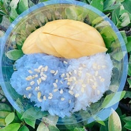 เด็กอ้วน healthy
