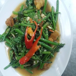 ข้าวราดยอดฟักแม้ว