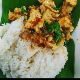 ข้าวกะเพราไก่