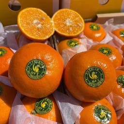 วอชิงตัน จำหน่ายผลไม้คัดเกรด