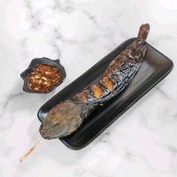 ปลาดุกย่าง